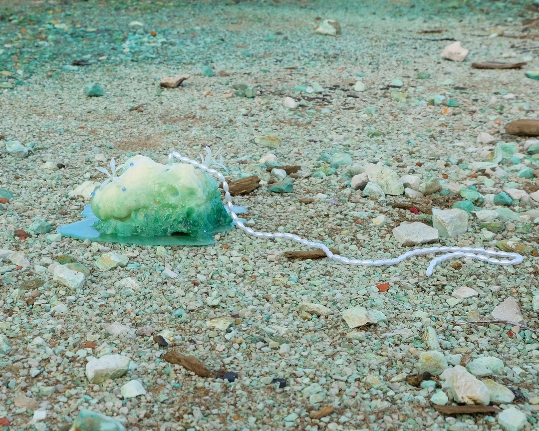 Installation view 11