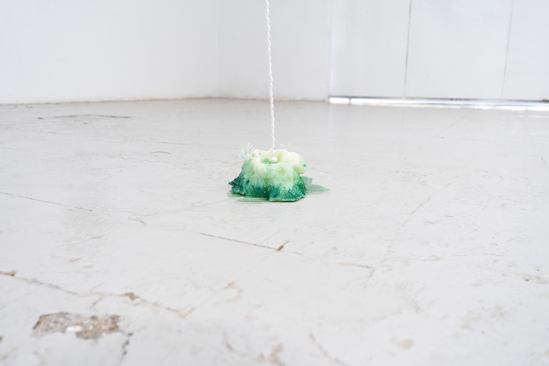Installation view 4