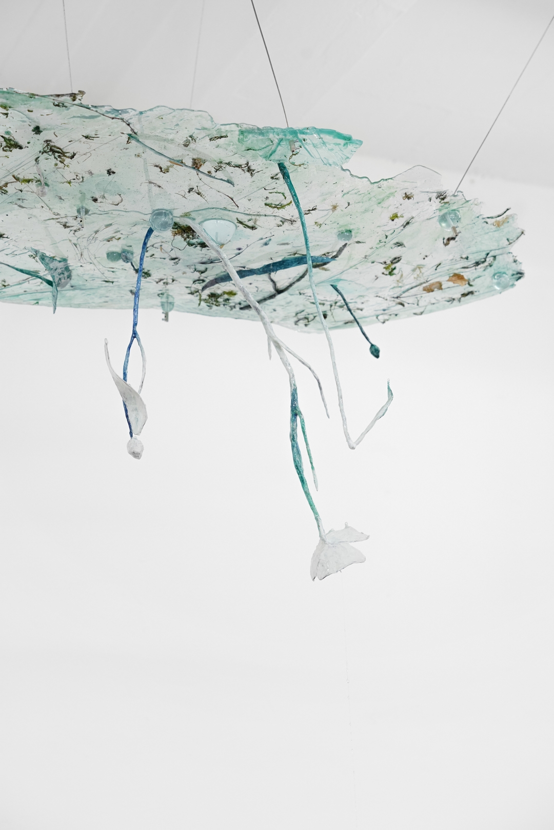 Installation view 14