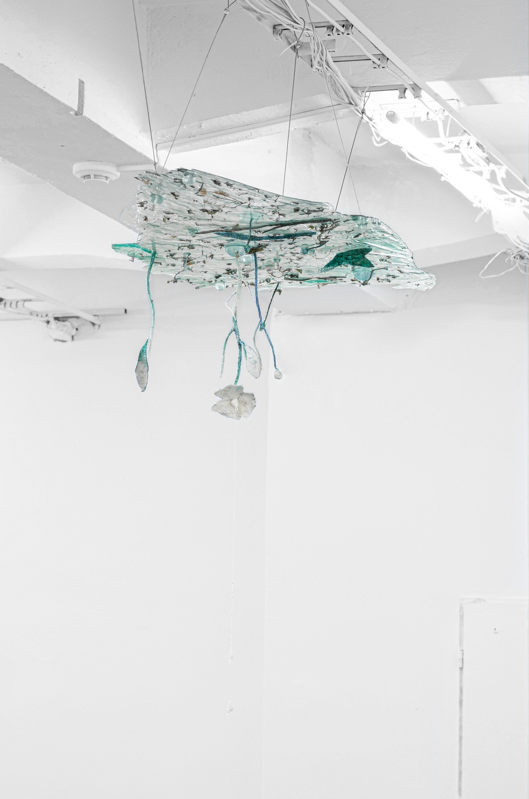 Installation view 15