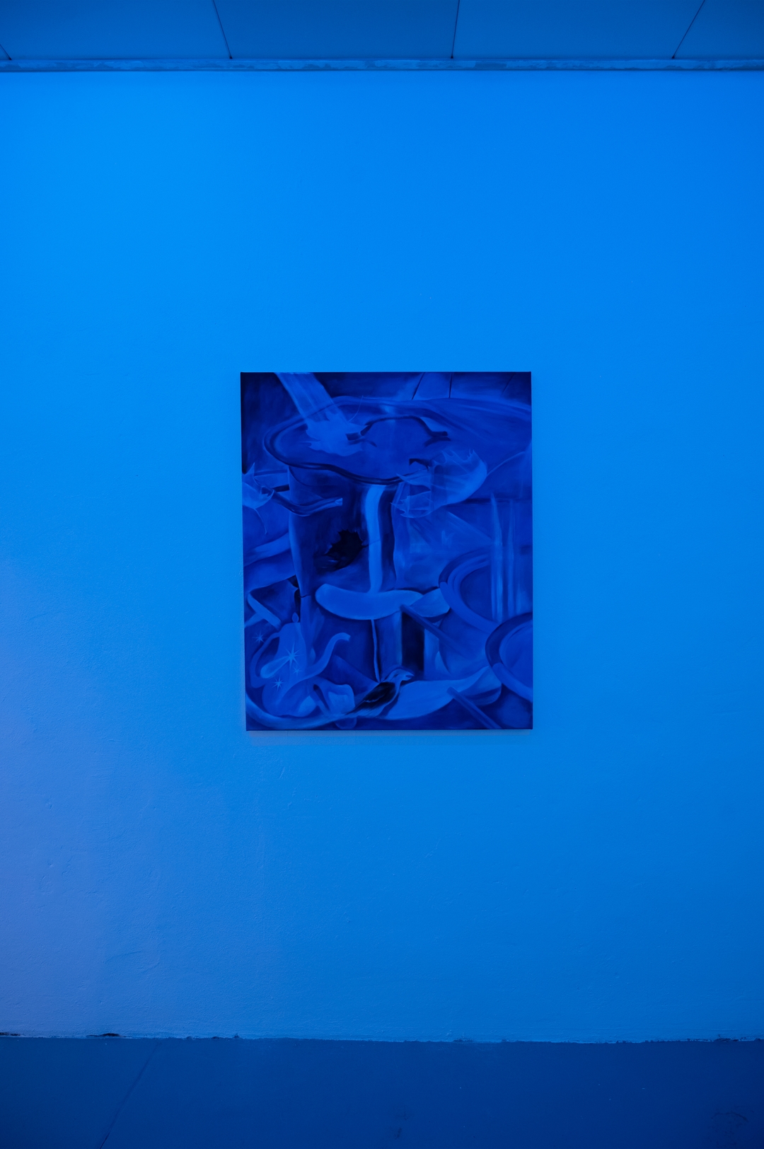 Installation view 5