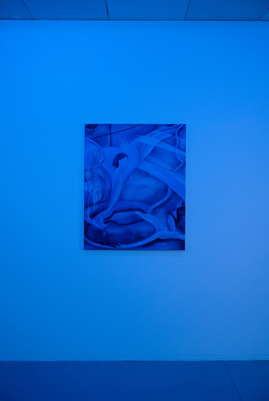 Installation view 7