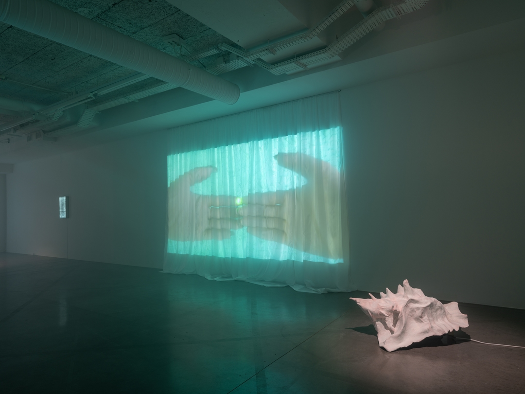 Installation view 2