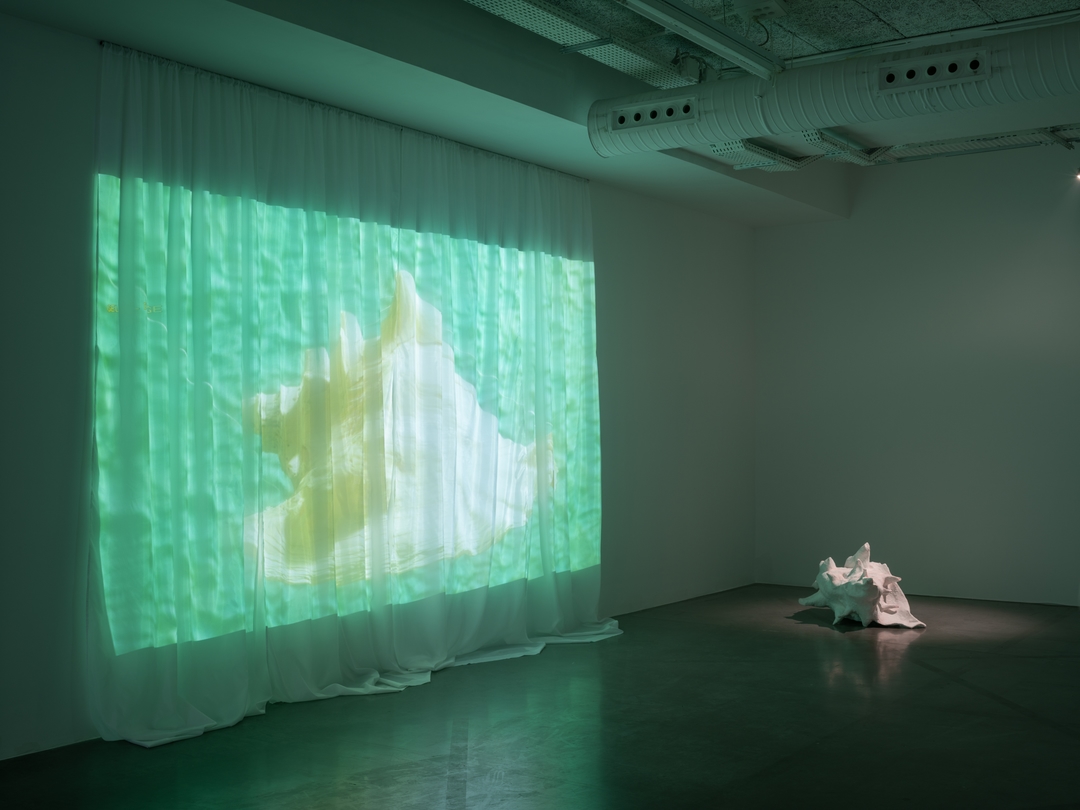 Installation view 8