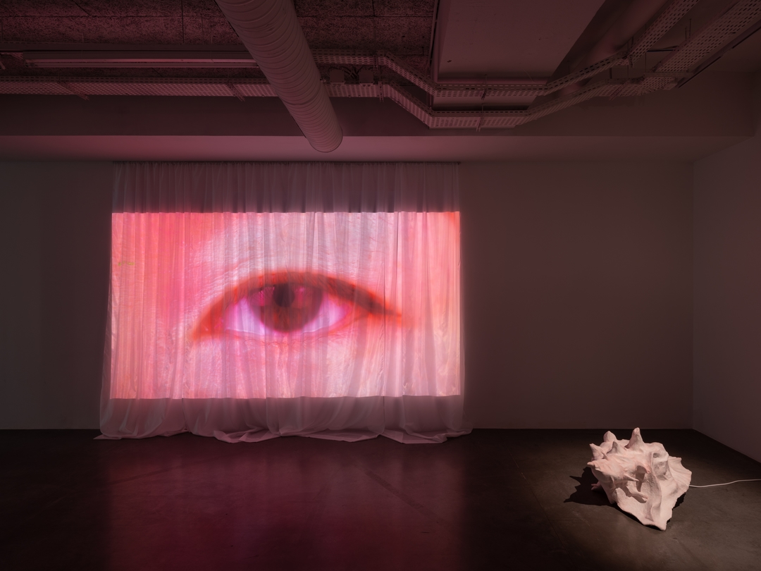 Installation view 11