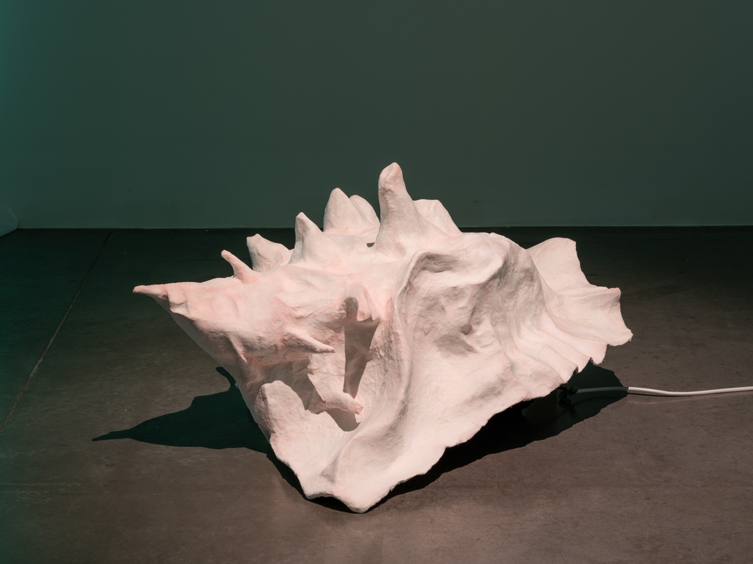Installation view 12